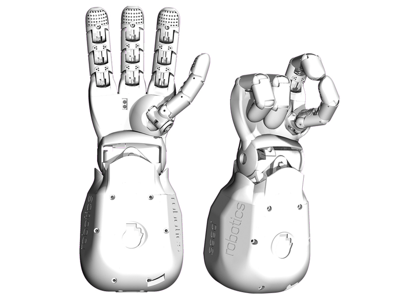 画像:RH Manipulator / Dexterous Hand | 高性能 ロボットハンド マニピュレーター