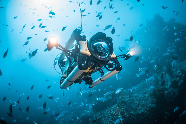 画像:Boxfish | 水中撮影 対応 360度カメラ ドローン(ROV)