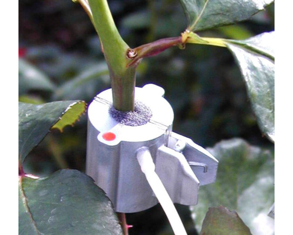 画像:Sap Flow Sensors SF-4M / SF-5M | 果実 花の葉柄 細い茎 樹液流 計測用センサー