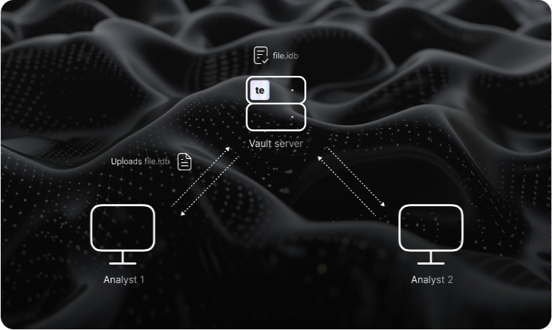 画像:IDA Teams Add-on | Hex-Rays 共同リバースエンジニアリング