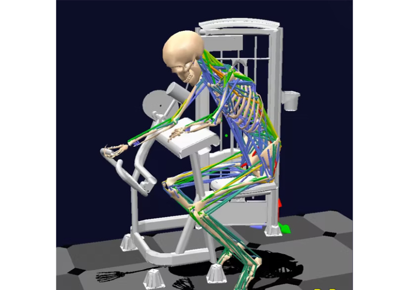 BoB (Biomechanics of Bodies) | 筋骨格モデル バイオメカニカル モデリング