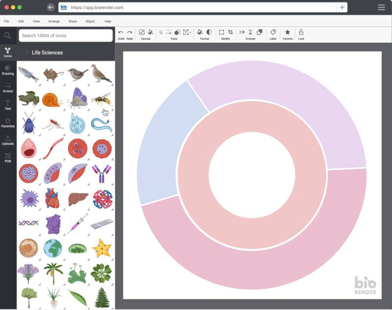 BioRender | ライフサイエンス分野 イラスト ツール