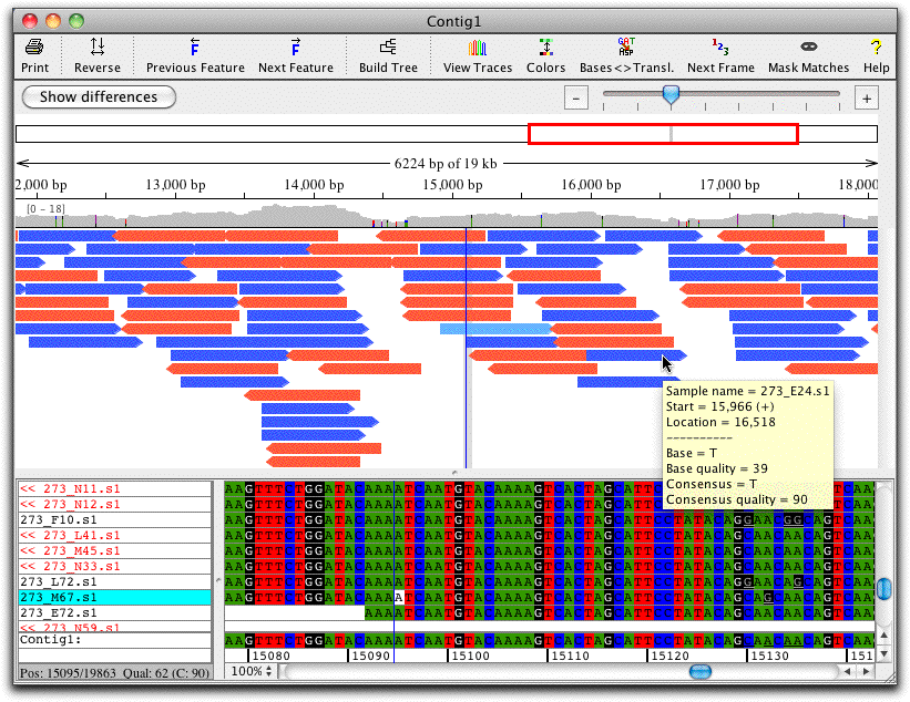 CodonCode Aligner | DNA 配列アセンブリング 配列アラインメント プログラム