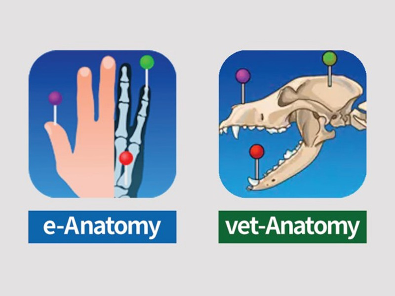 e-Anatomy / vet-Anatomy | 放射線画像 データベース