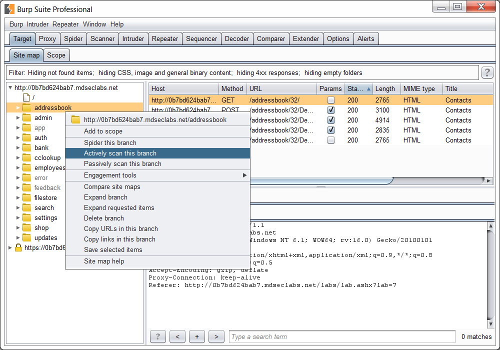 Burp Suite | PortSwigger ウェブアプリケーション 脆弱性検出 ペネトレーション