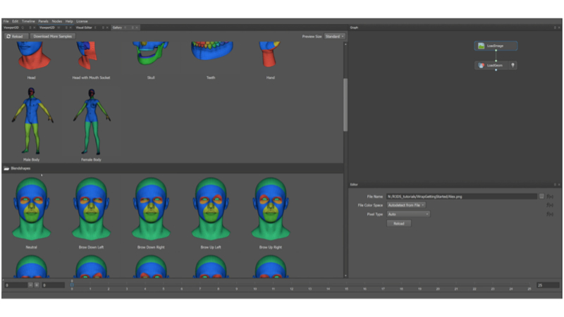 Faceform Wrap | 人体3Dスキャンデータ ベースメッシュ ラッピング ソフト