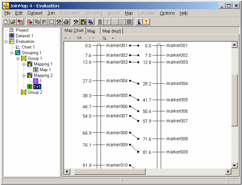 JoinMap / MapQTL | 遺伝子連鎖解析 ソフトウェア