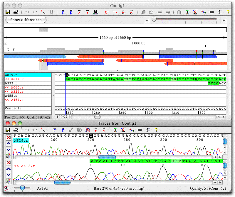 CodonCode Aligner | DNA 配列アセンブリング 配列アラインメント プログラム