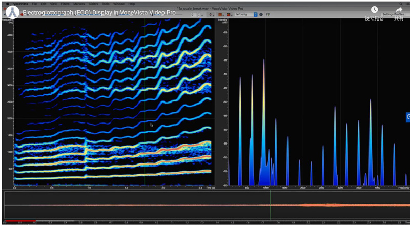 VoceVista Video | ボイス解析 指導支援 音声振動信号