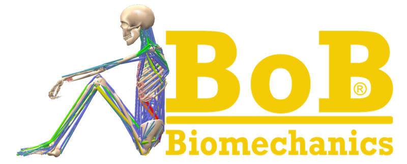 BoB (Biomechanics of Bodies) | 筋骨格モデル バイオメカニカル モデリング