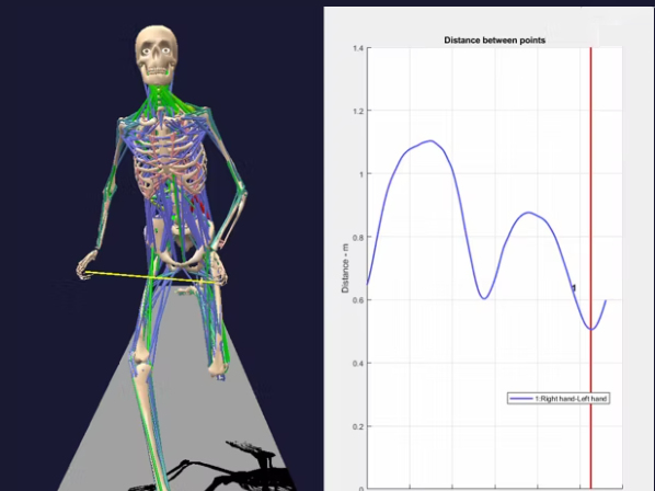 BoB (Biomechanics of Bodies) | 筋骨格モデル バイオメカニカル モデリング