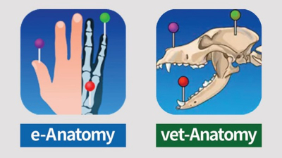 e-Anatomy