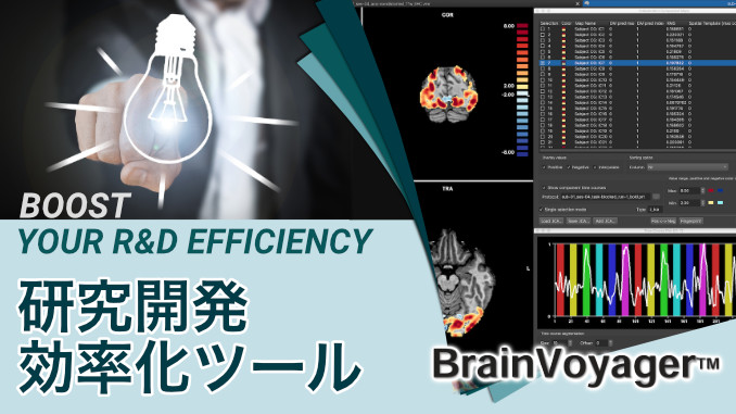 研究開発効率化ツール BrainVoyager | 脳科学をスピードアップ！