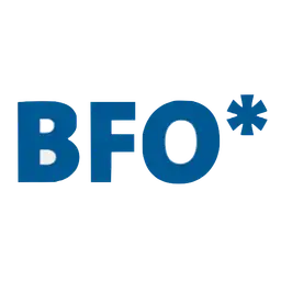 Big Faceless Organization ロゴ