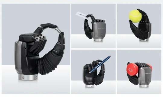 Inspire Robots Dexterous Hands