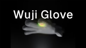 Wuji Technology Wuji Glove