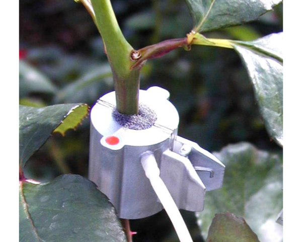Sap Flow Sensors SF-4T / SF-5T (フローセンサー)