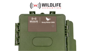 Song Meter SM5 製品画像