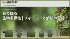 音で探る生物多様性フィールドと解析の記録 シリーズ