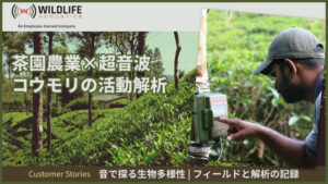 音で探る生物多様性フィールドと解析の記録 事例3